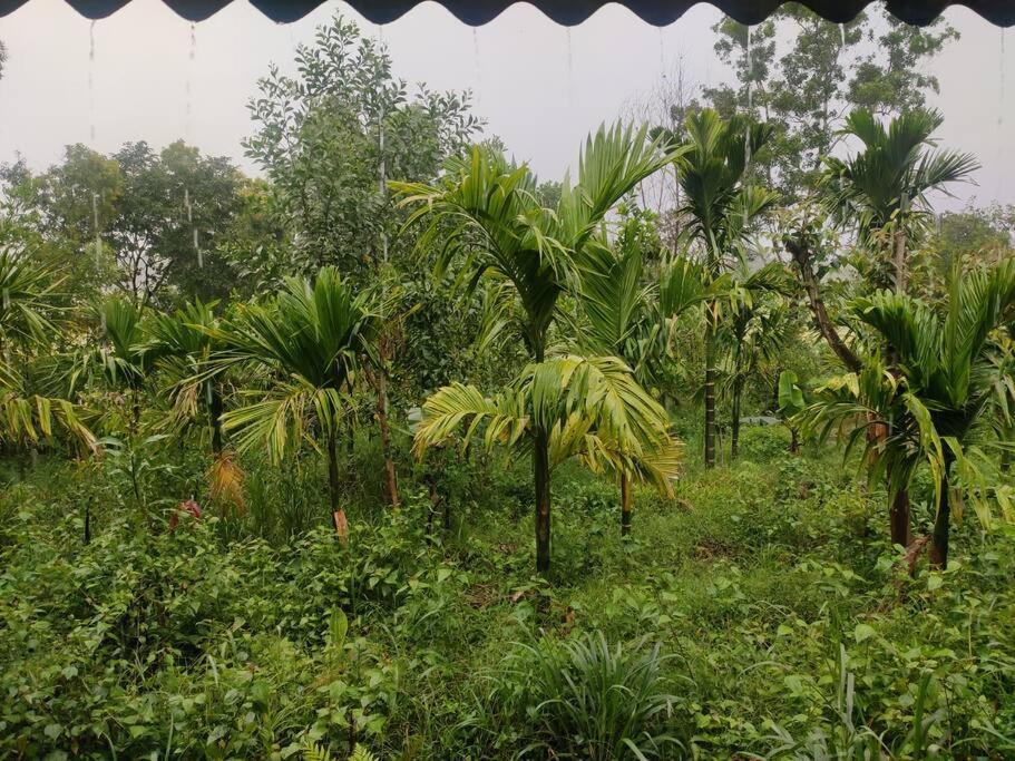 Kamanabillu Homestay, For Jog Falls Travellers Siddapur Екстер'єр фото